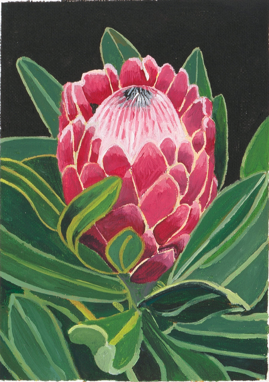 BOTANICALS & FLORA